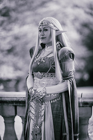 J Zelda-7587-2