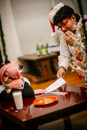 SPY XMAS FAMILY -3041