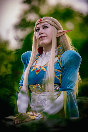 J Zelda-7596