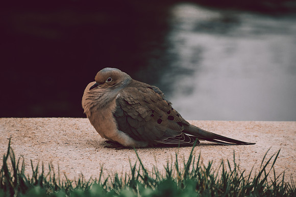 Website-Portfolio-207
