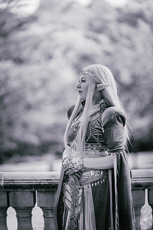 J Zelda-7589-2