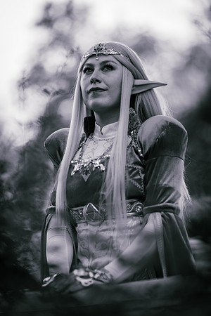 J Zelda-7595-2
