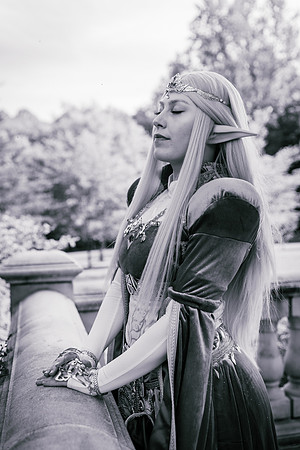 J Zelda-7616-2