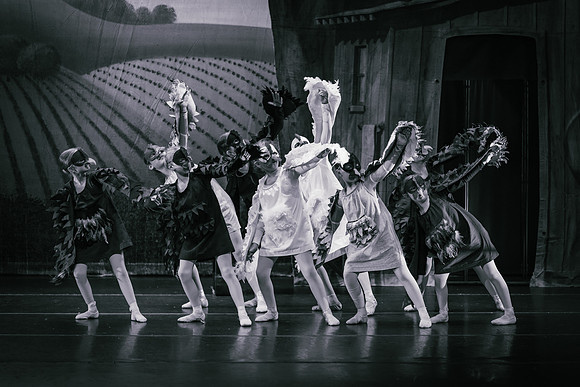 La Fille Mal Gardée BW-2603