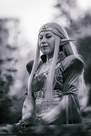 J Zelda-7592-2