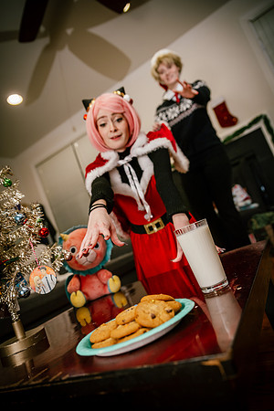 SPY XMAS FAMILY -3011