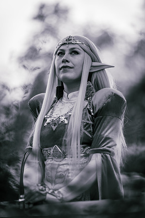 J Zelda-7594-2