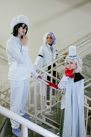 BSD-2077