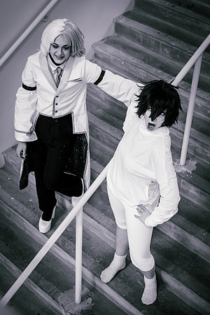 BSD-2039