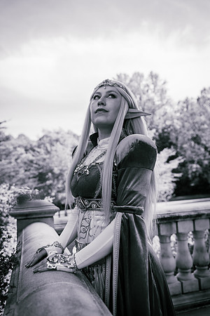 J Zelda-7602-2