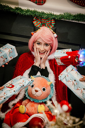 SPY XMAS FAMILY -2979
