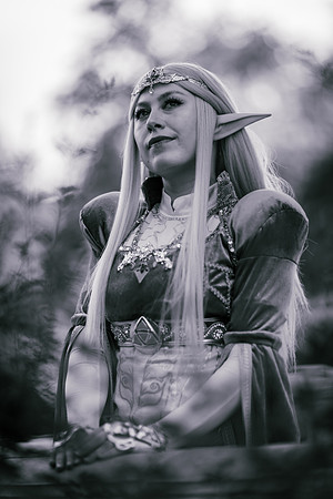 J Zelda-7596-2