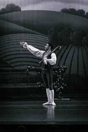 La Fille Mal Gardée BW-2733