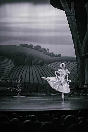 La Fille Mal Gardée BW-2694