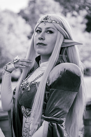 J Zelda-7615-2