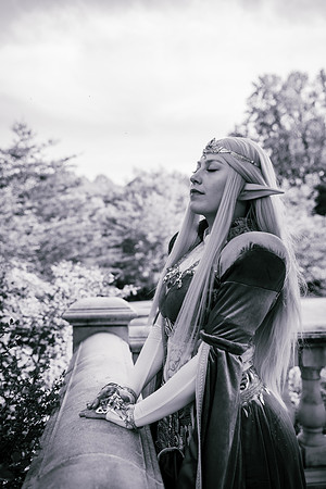 J Zelda-7617-2