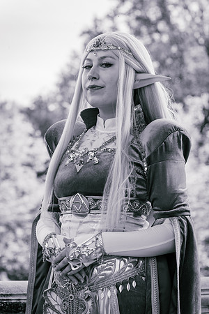 J Zelda-7582-2