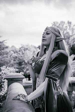 J Zelda-7620-2