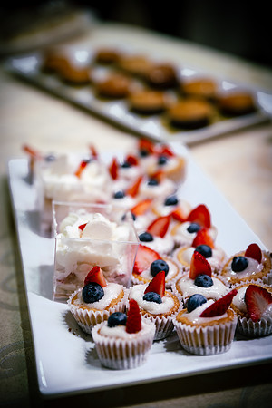 Food Samples-2476