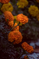 Website-Portfolio-125