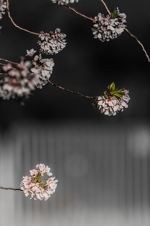 Website-Portfolio-232