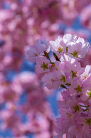 Website-Portfolio-227