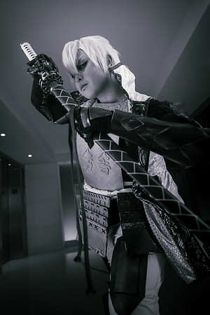 Sengoku Basara-9803