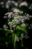 Website-Portfolio-123