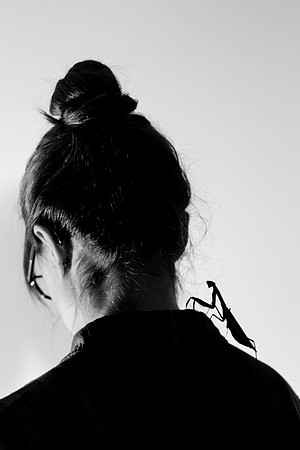 Website-Portfolio-194