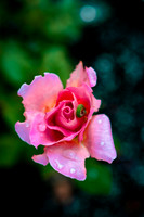 Website-Portfolio-113