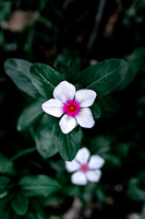 Website-Portfolio-124