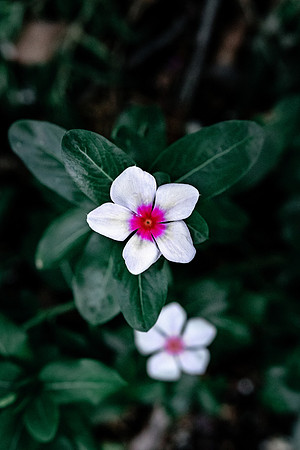 Website-Portfolio-124