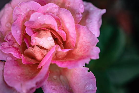 Website-Portfolio-121