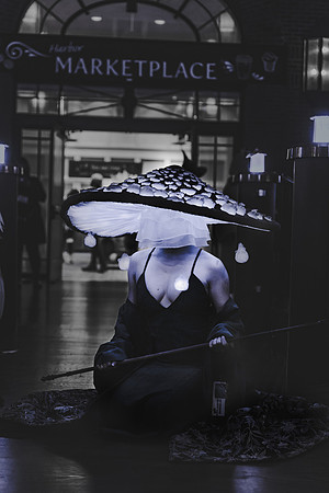 a_bird_cosplays-4938