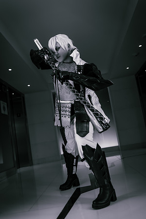 Sengoku Basara-9815