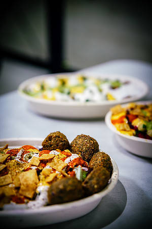 Food Samples-3300