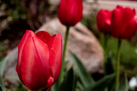 Website-Portfolio-116