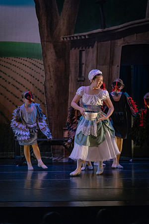 La Fille Mal Gardée-2633